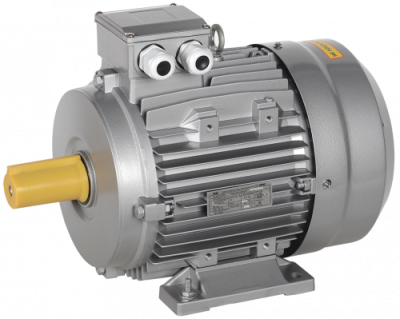 Электродвигатель АИC132М8 (iEK) 1081 - лапы