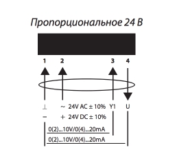 24_V_.jpg