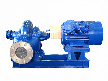 Насос 12НДс-Нм-...-а-Ех (1450 об/мин)