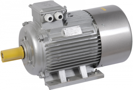 Электродвигатель АИР180S4 (iEK)