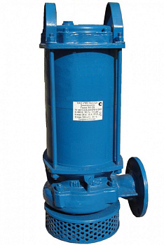Насос 1Гном 10-6Д, 220 В